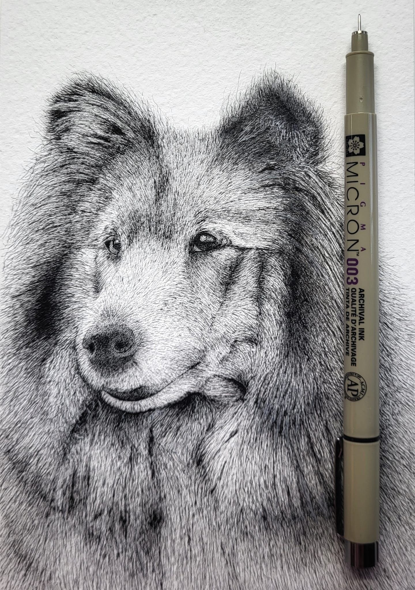 ink drawing of a dog