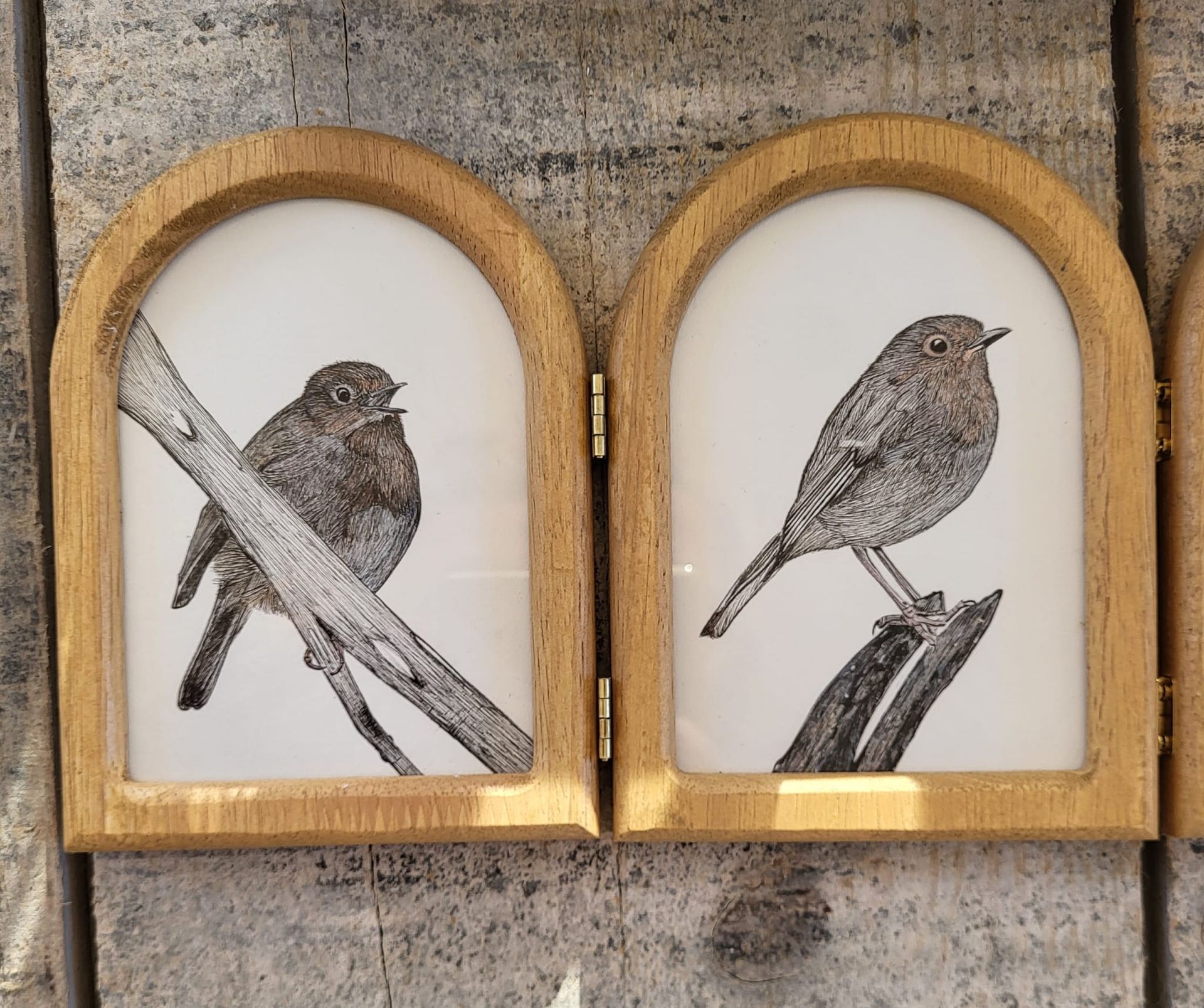 inkdrawing birds robins