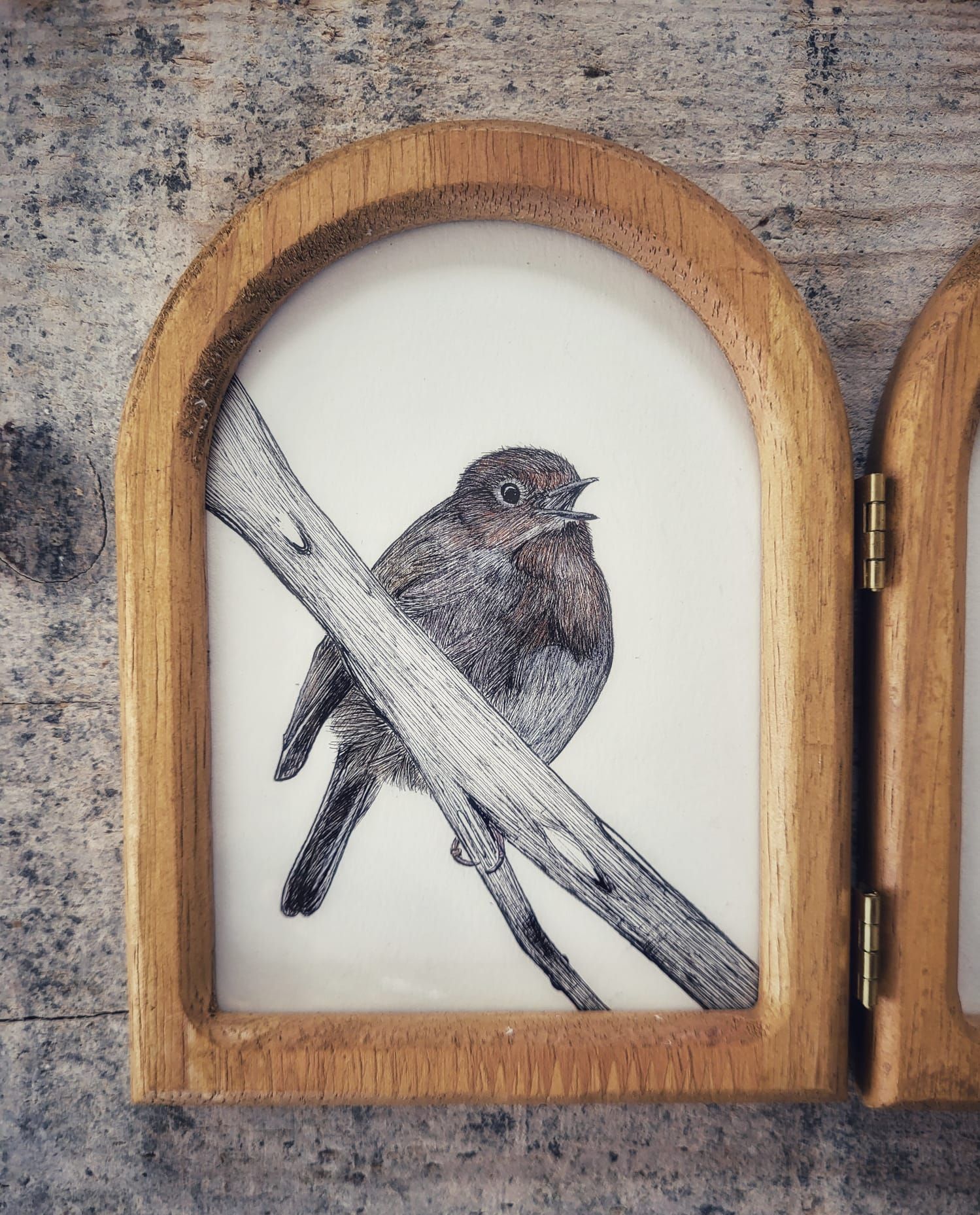 drawing robins art