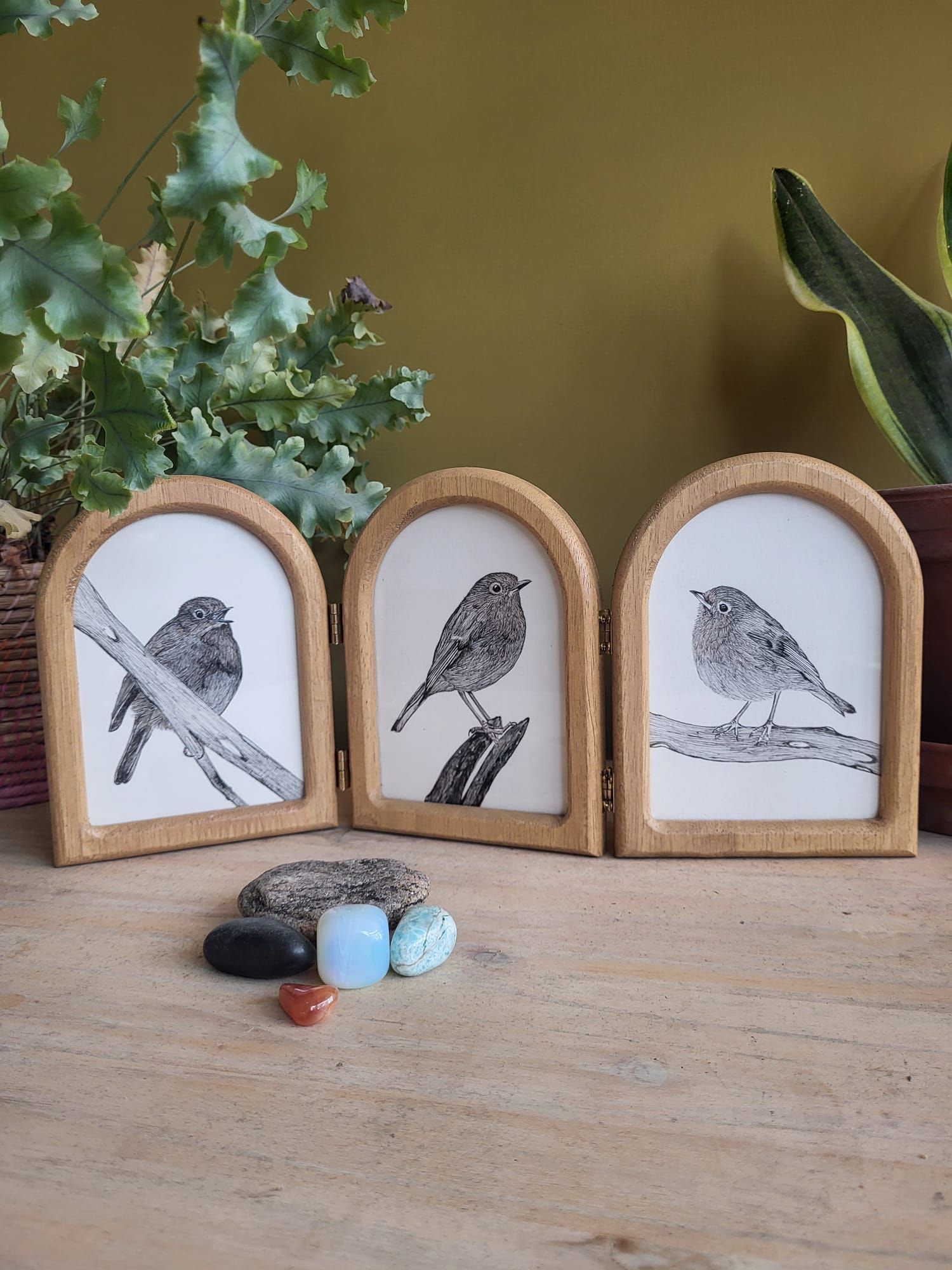 robins art
