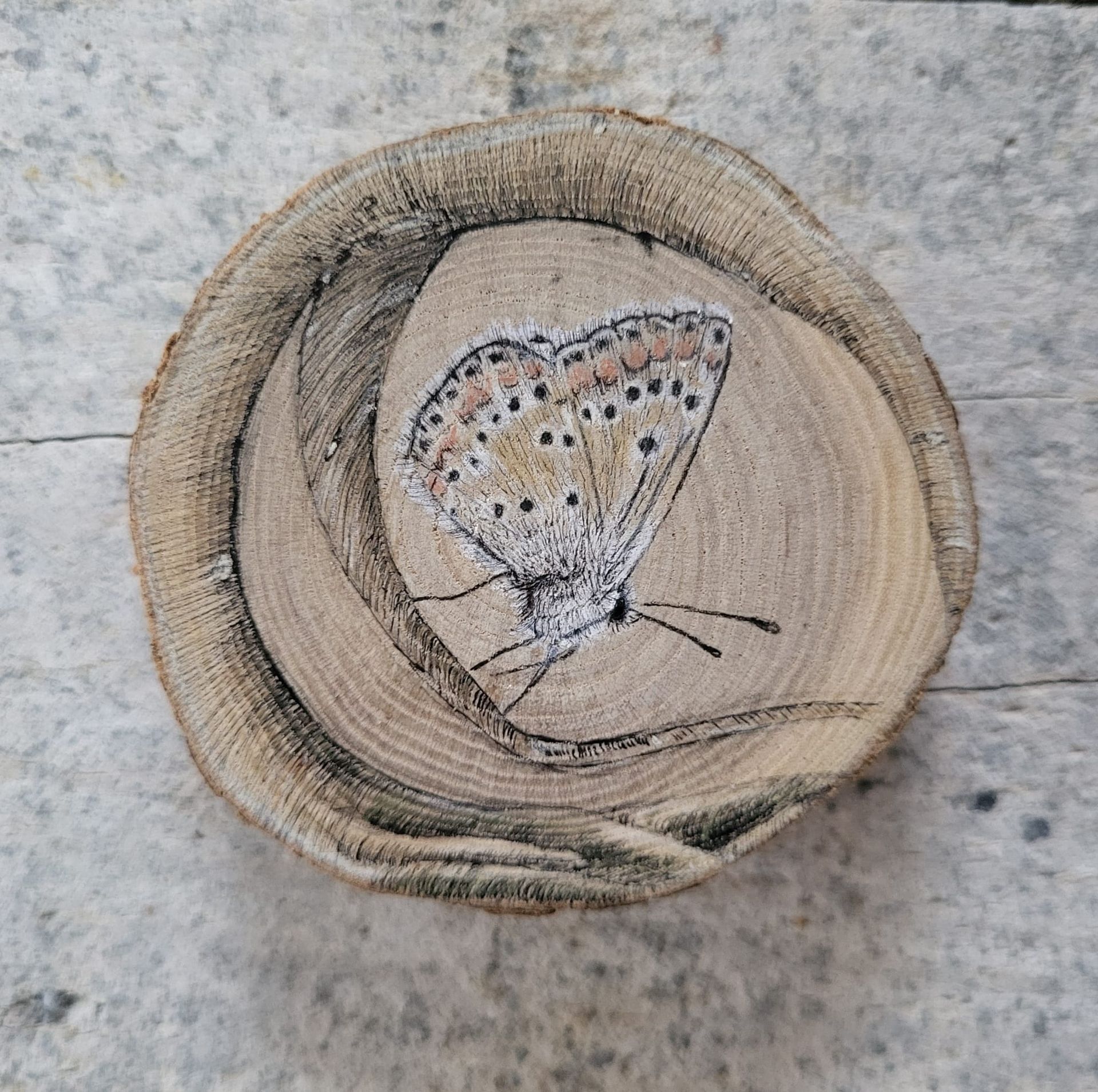 drawing butterfly on wood