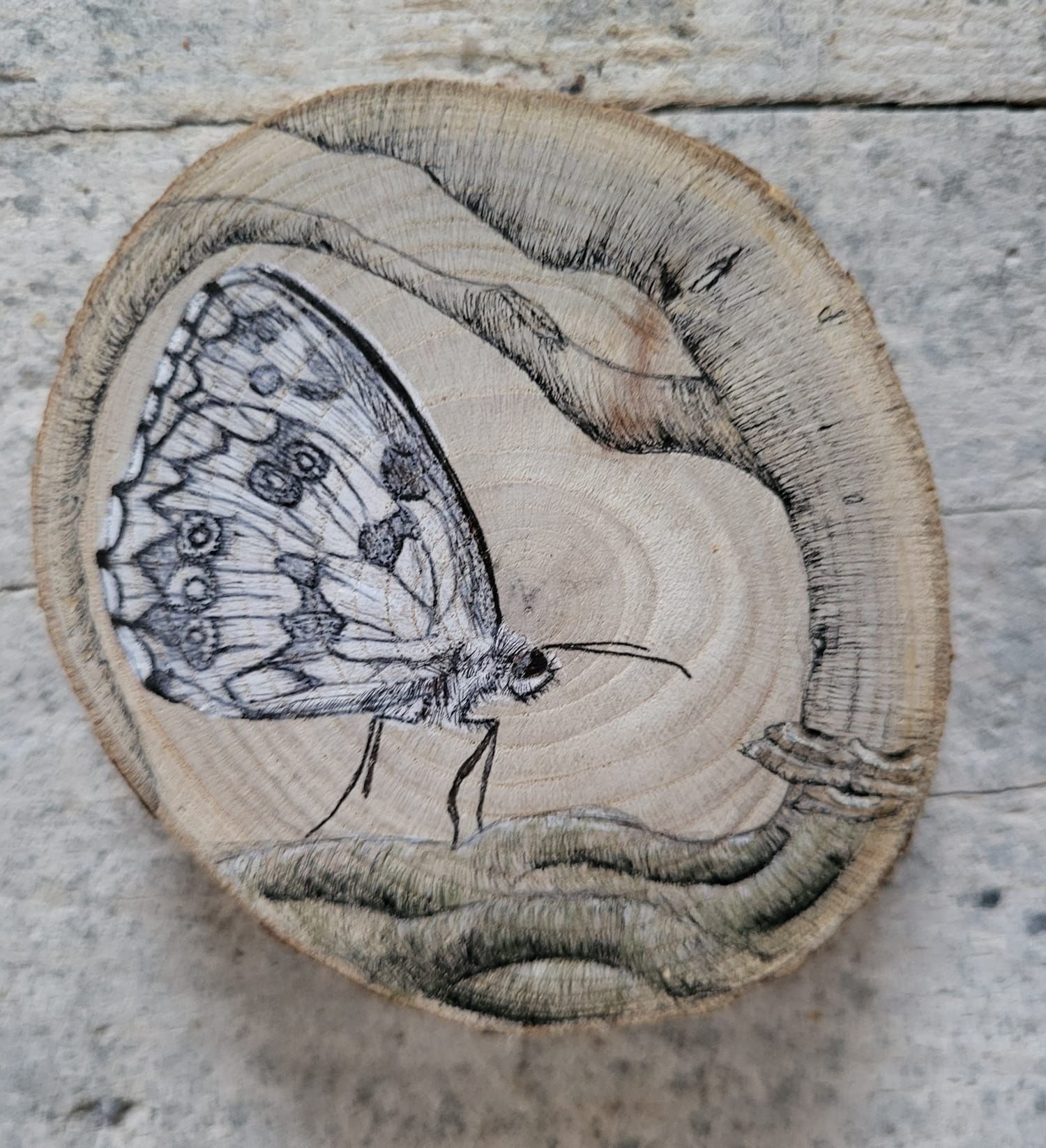 drawing butterfly on wood