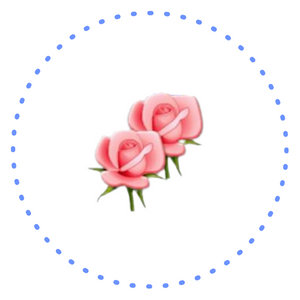 Two pink roses inside a blue dotted circle on a white background