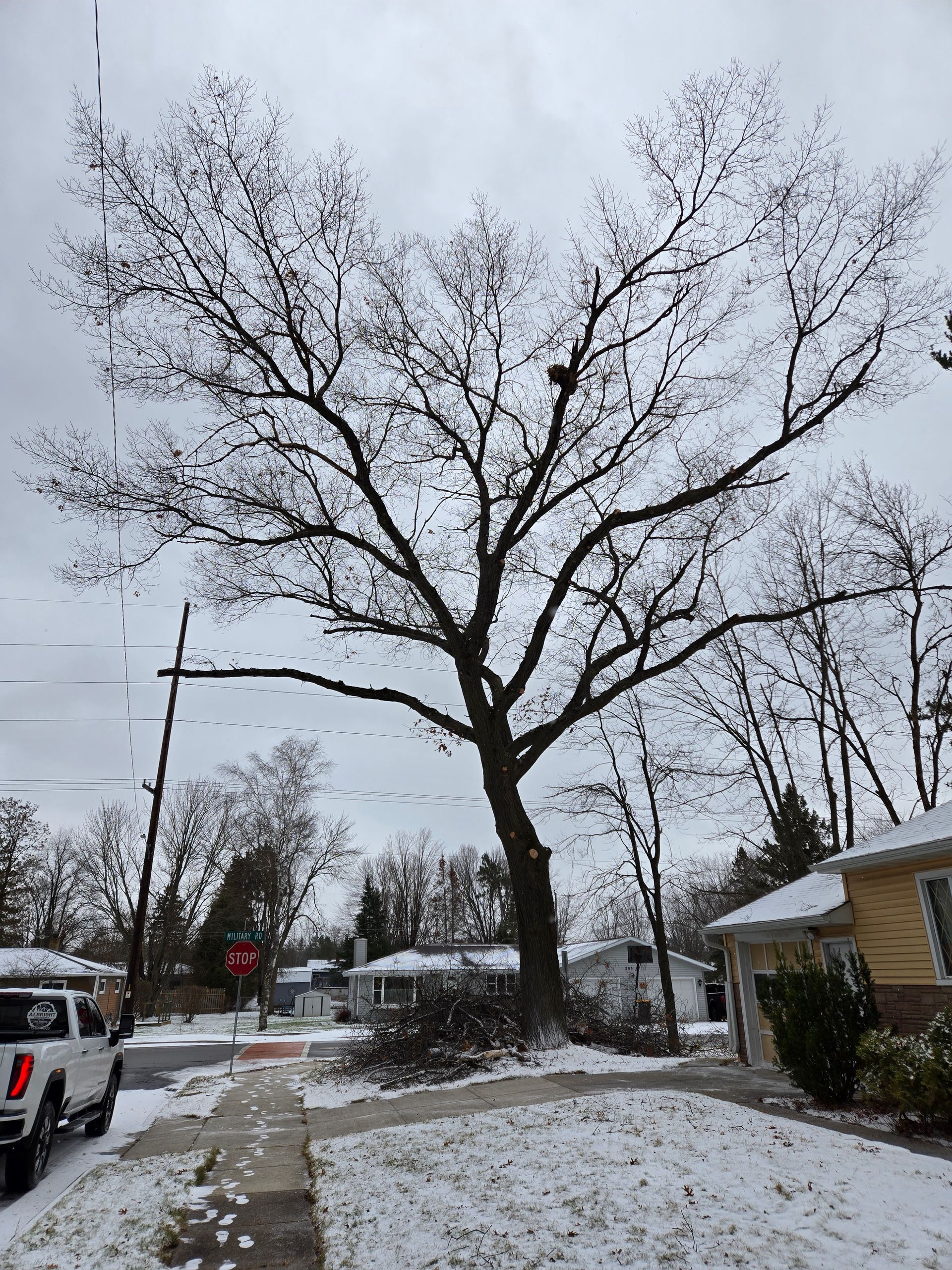 Winter tree removal in Wausau WI