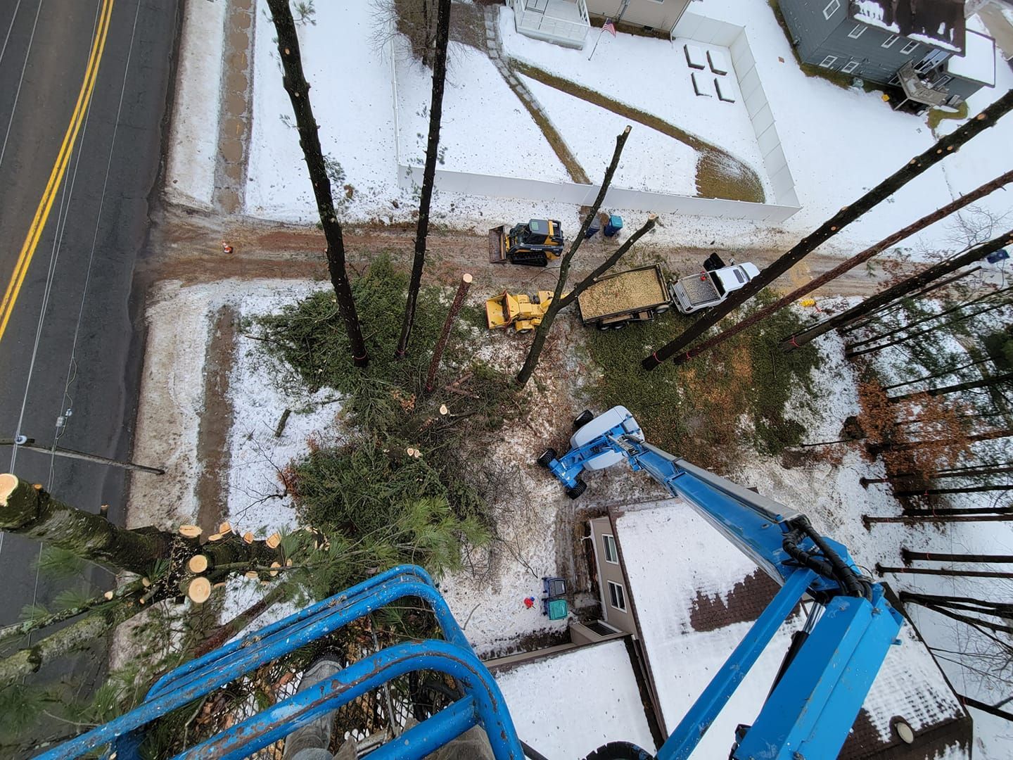 Tree removal service in Wausau WI
