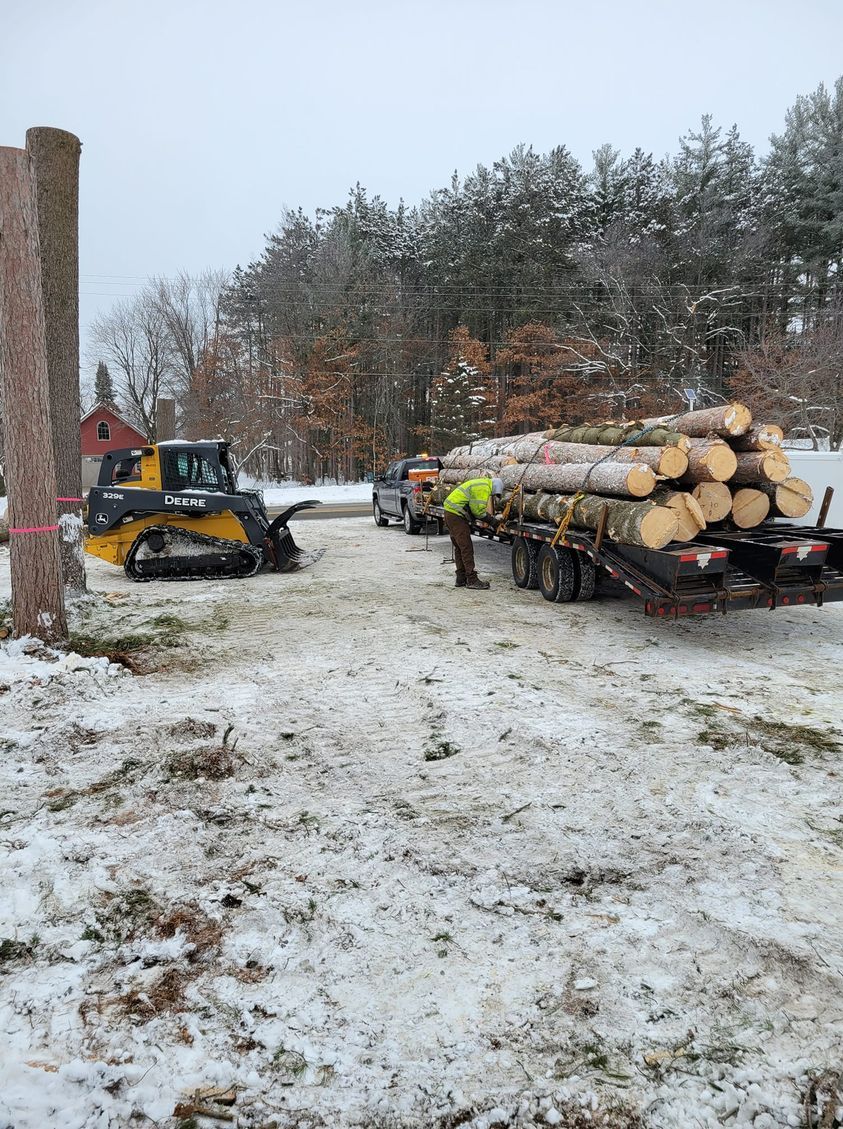 Land clearing and brush removal project