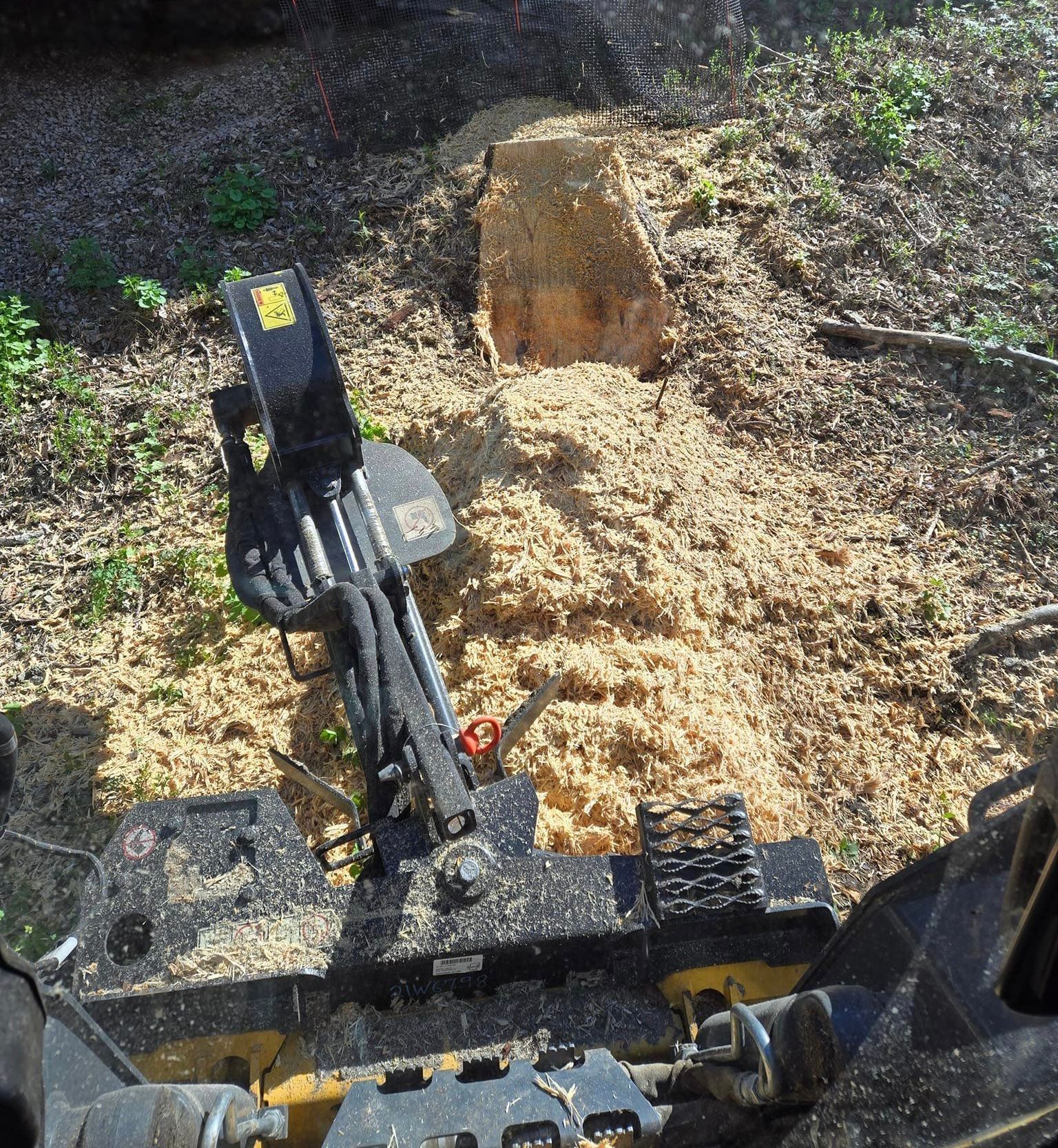 Stump grinding project in Wausau WI
