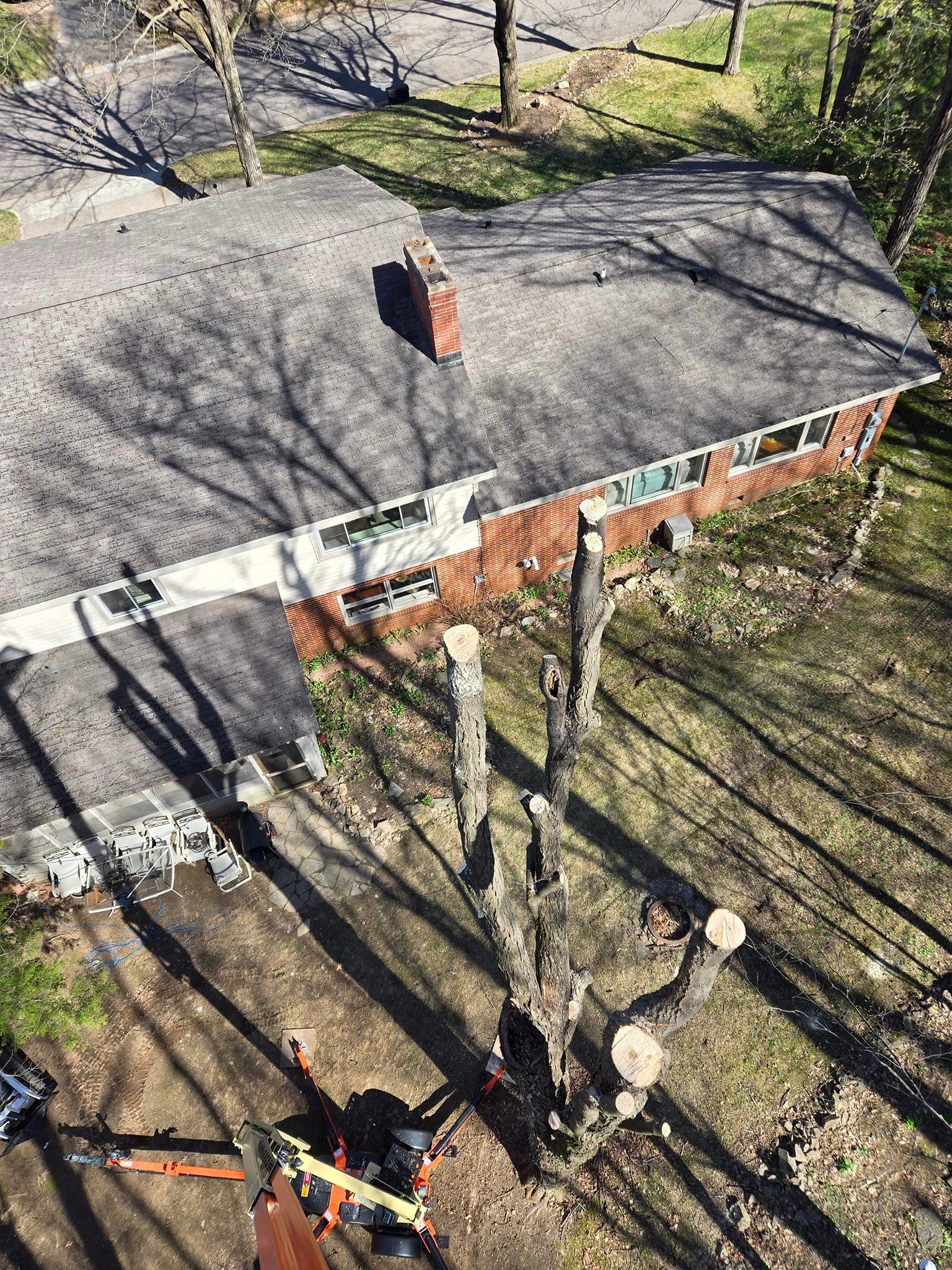 Tree trimming project in Wausau WI