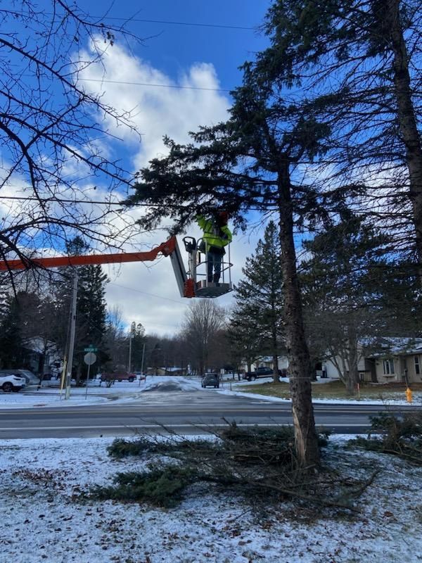 Tree trimming project in Wausau WI