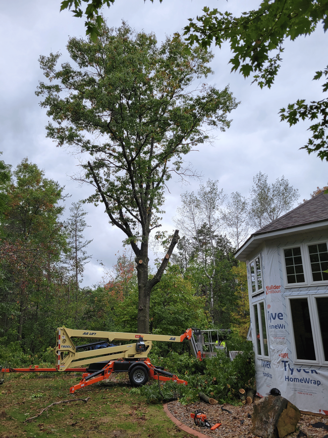 Large tree removal near a home in Wausau WI using lift equipment