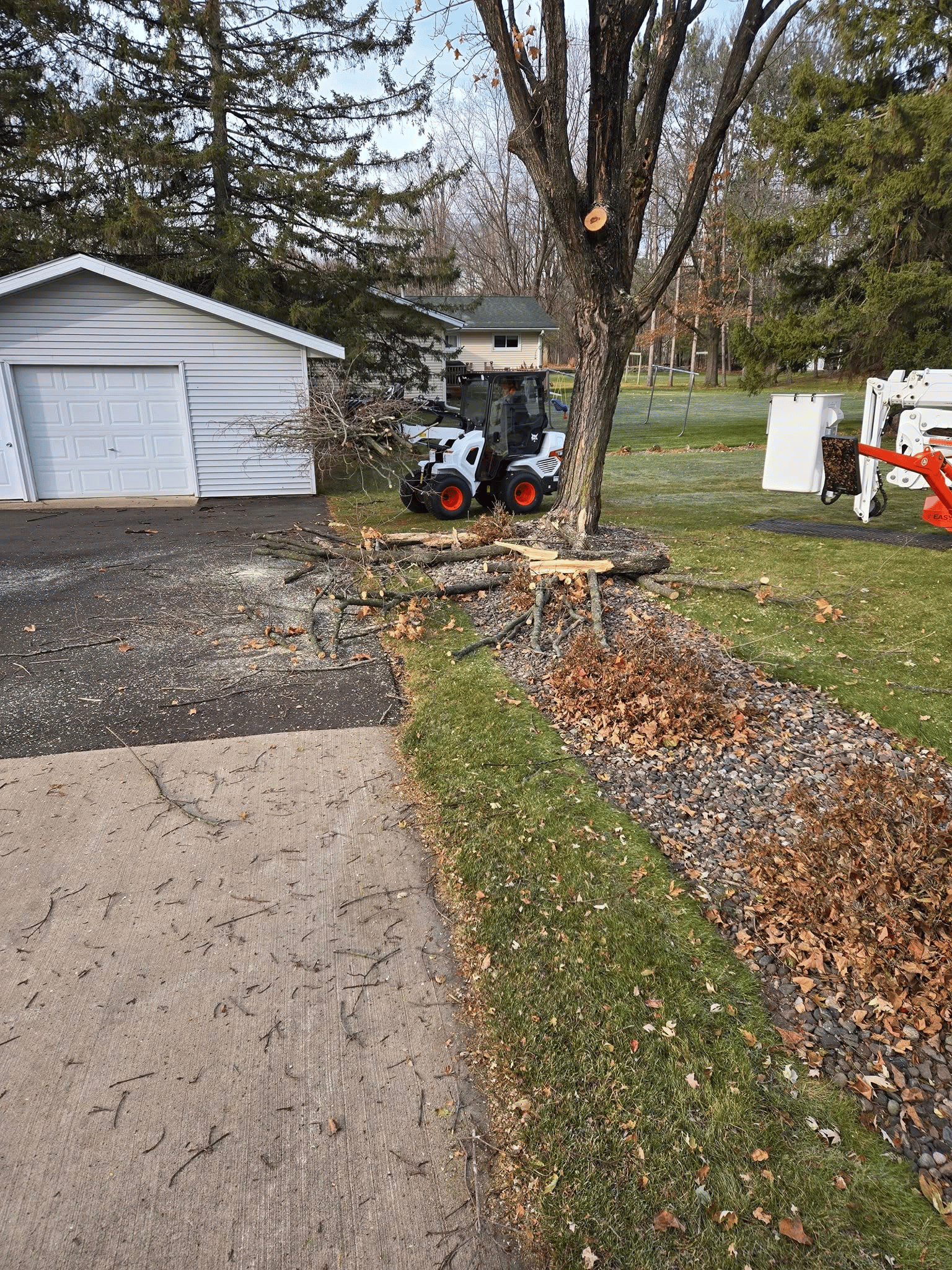 Tree service in Schofield, WI