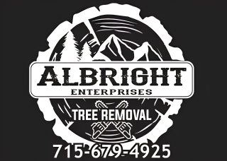 Albright Enterprises logo