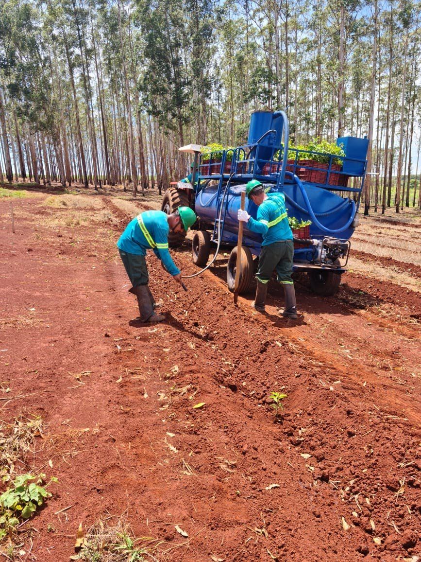Dois homens trabalham em um campo ao lado de um trator.