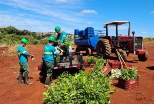 Um grupo de homens está trabalhando em um trator em um campo.