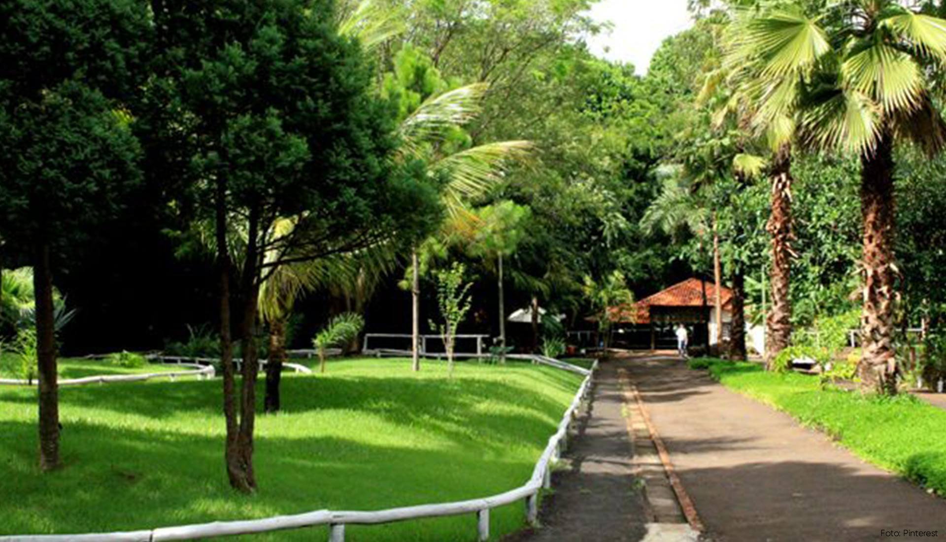 area-de-lazer Um caminho que atravessa um parque cercado por árvores e grama.