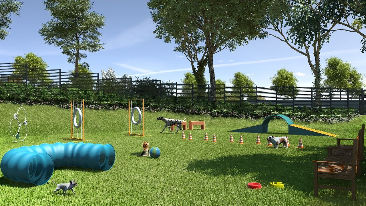 Um parque para cães com um túnel azul e um banco