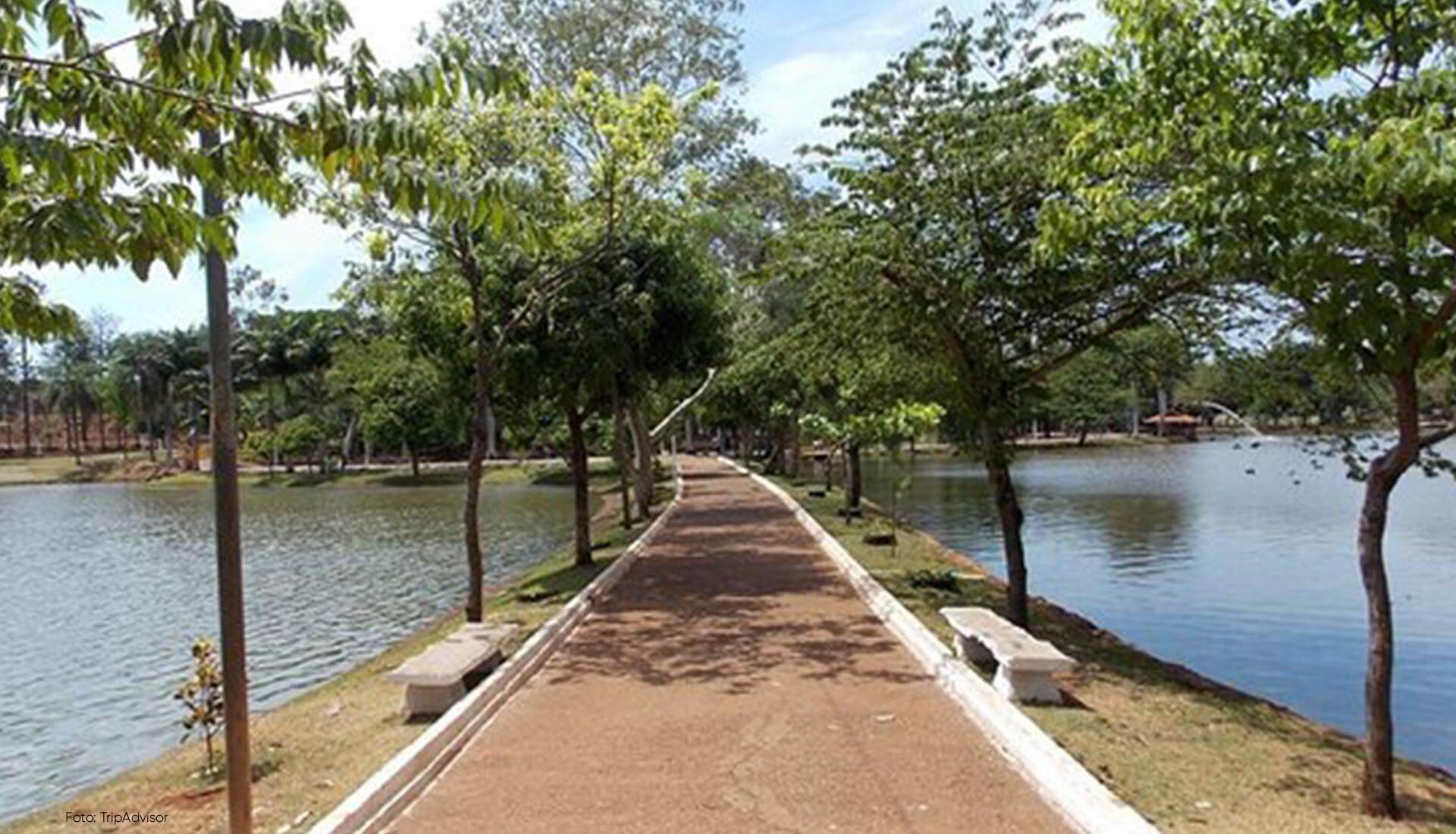 area-verde Um caminho que leva a um lago cercado por árvores