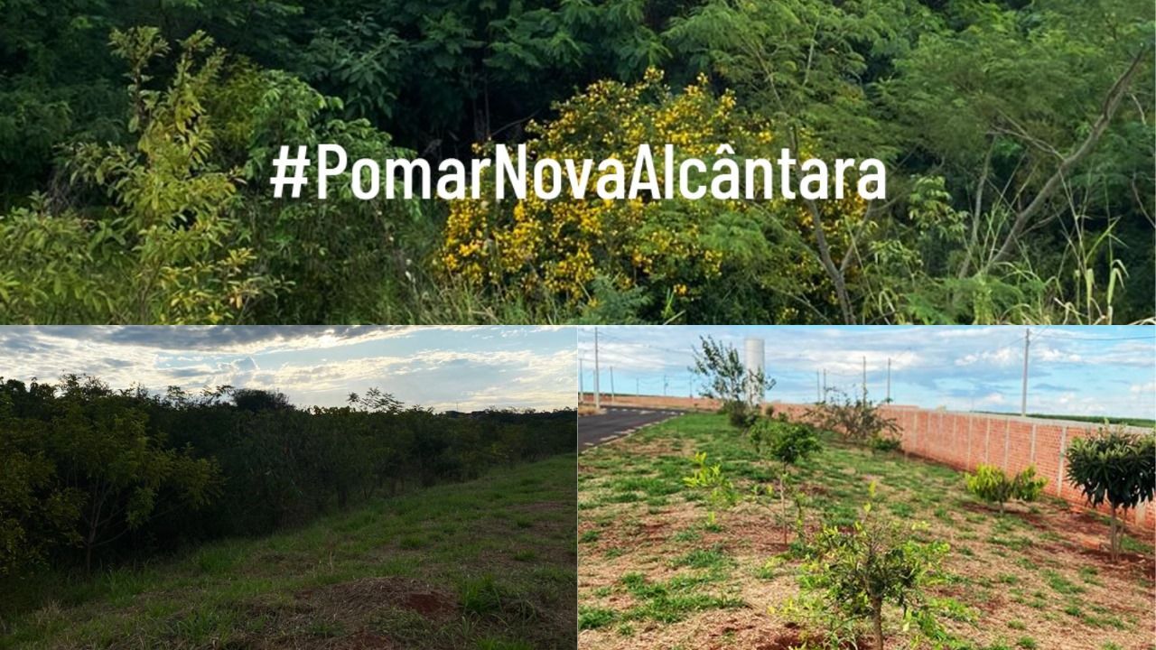 condominio-com-areas-verdes Uma foto de antes e depois de um campo com árvores e uma cerca.