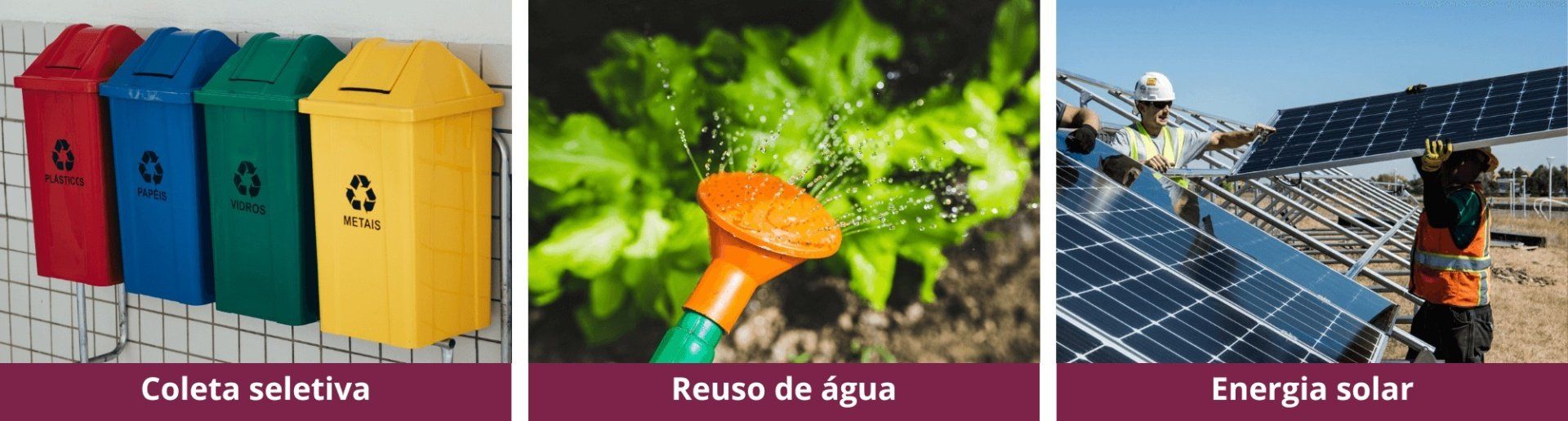 Uma foto de uma planta sendo regada e uma foto de um painel solar.