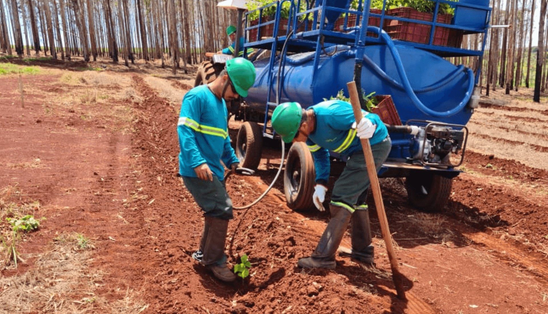 equipe-trabalhando-com-solo Dois homens estão plantando uma árvore no chão em frente a um trator.