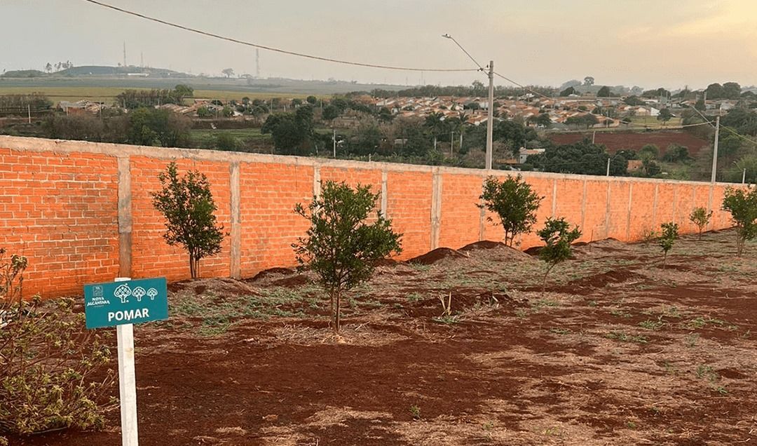 Uma parede de tijolos cerca um campo de terra com árvores e uma placa no meio do campo.