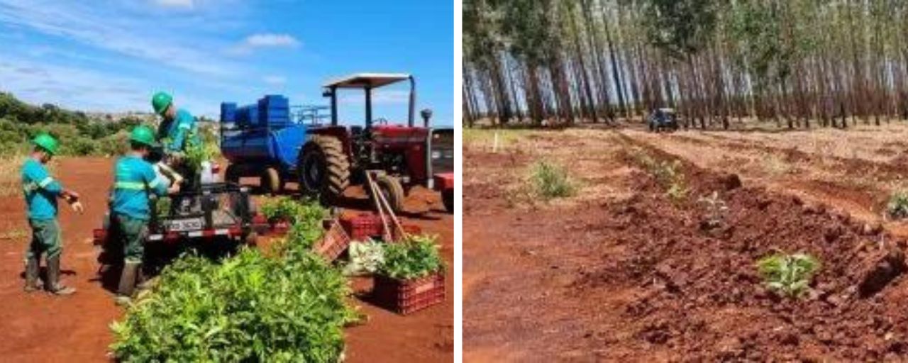 homens-trabalhando-na-fazenda Um grupo de pessoas está ao lado de um trator em um campo.