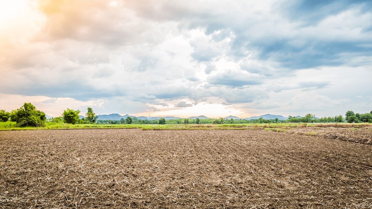 terreno Um campo árido com árvores ao fundo e um céu nublado ao fundo.