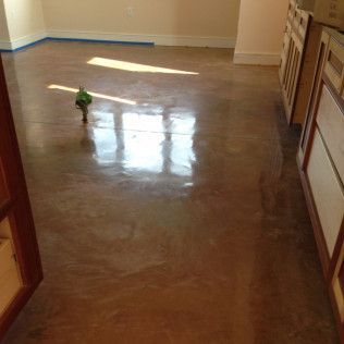 Shiny hardwood floor in an empty room with sunlight reflections and a small green object near the center.