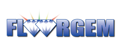 Blue metallic &ldquo;FLWRGEM&rdquo; logo with diamond shapes in the center