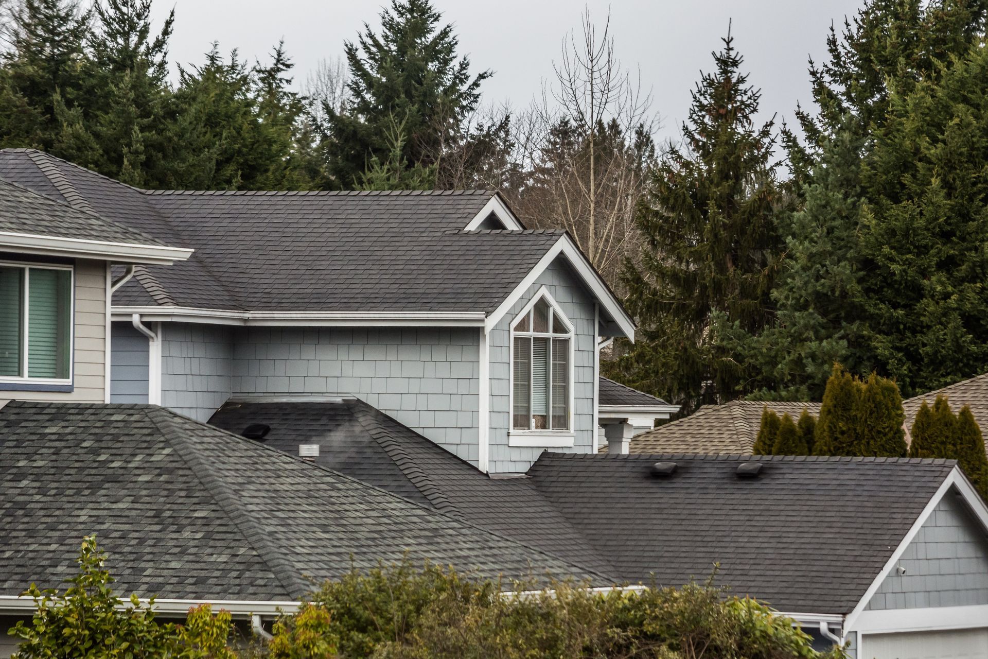 Residential rooftops with dark shingles and gray dormers in a wooded neighborhood