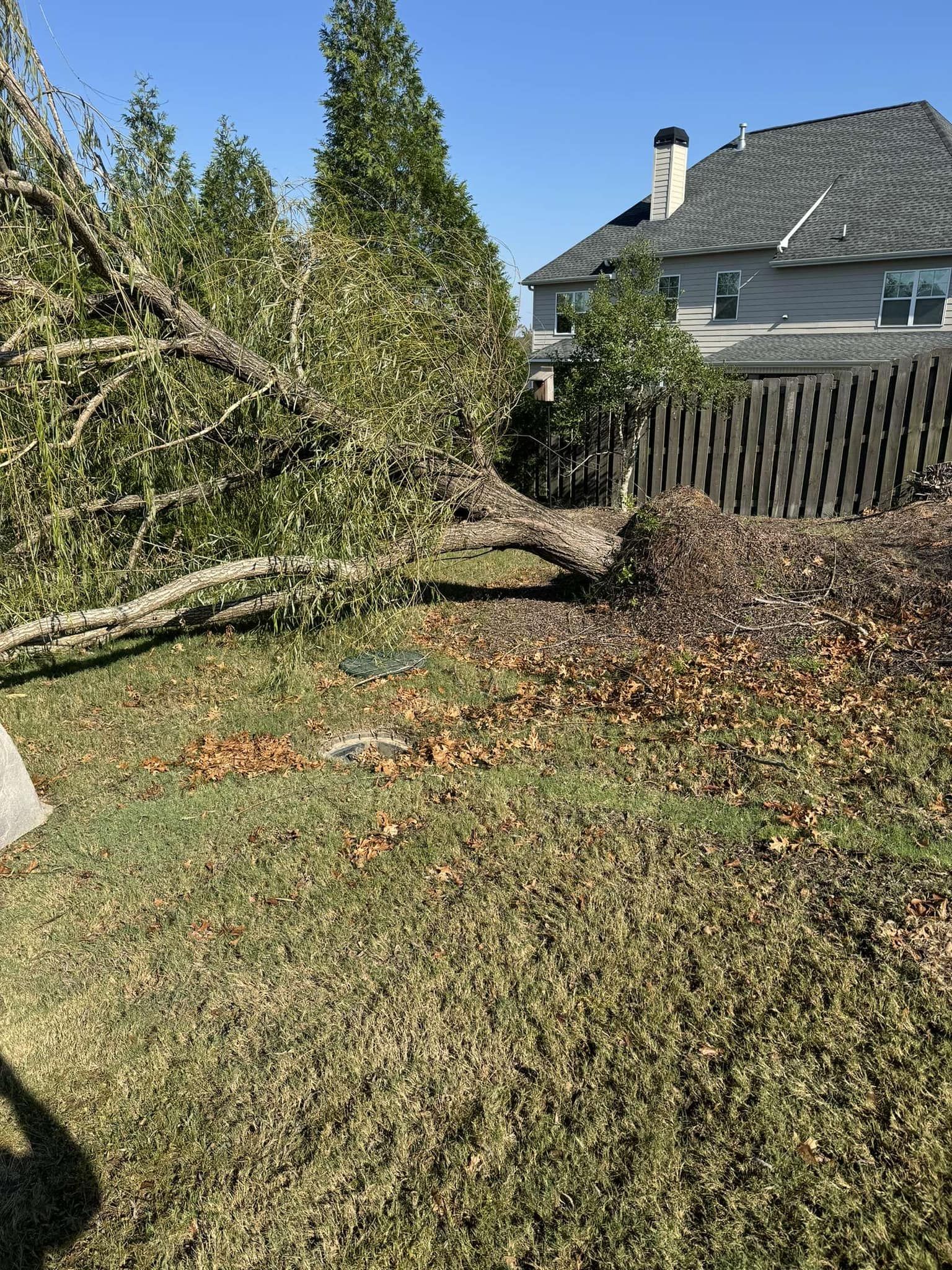 Fallen tree in backyard, debris on grass. House with fence in the background, sunny day.