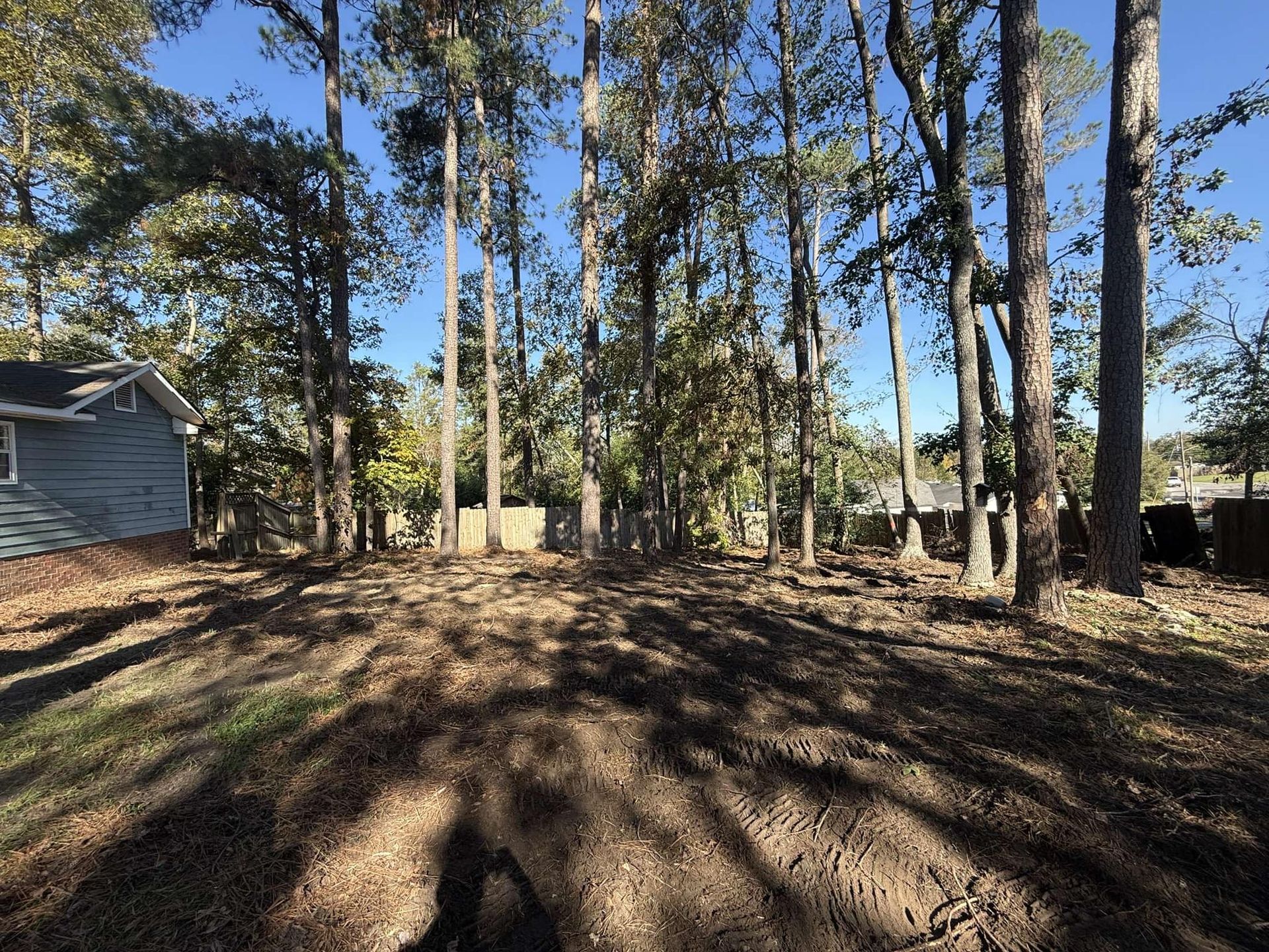 Cleared lot with trees, partial view of blue house, sunny day.