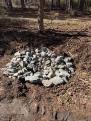 Pile of gray rocks encircling the base of a tree, surrounded by brown dirt and fallen leaves.