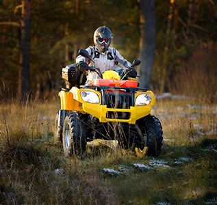 Person riding a yellow ATV through a grassy field in the woods