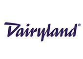 Dairyland logo in purple script on a white background