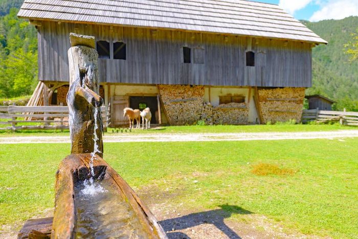 Wooden barn with stone foundation in a grassy field, with a water trough in the foreground.