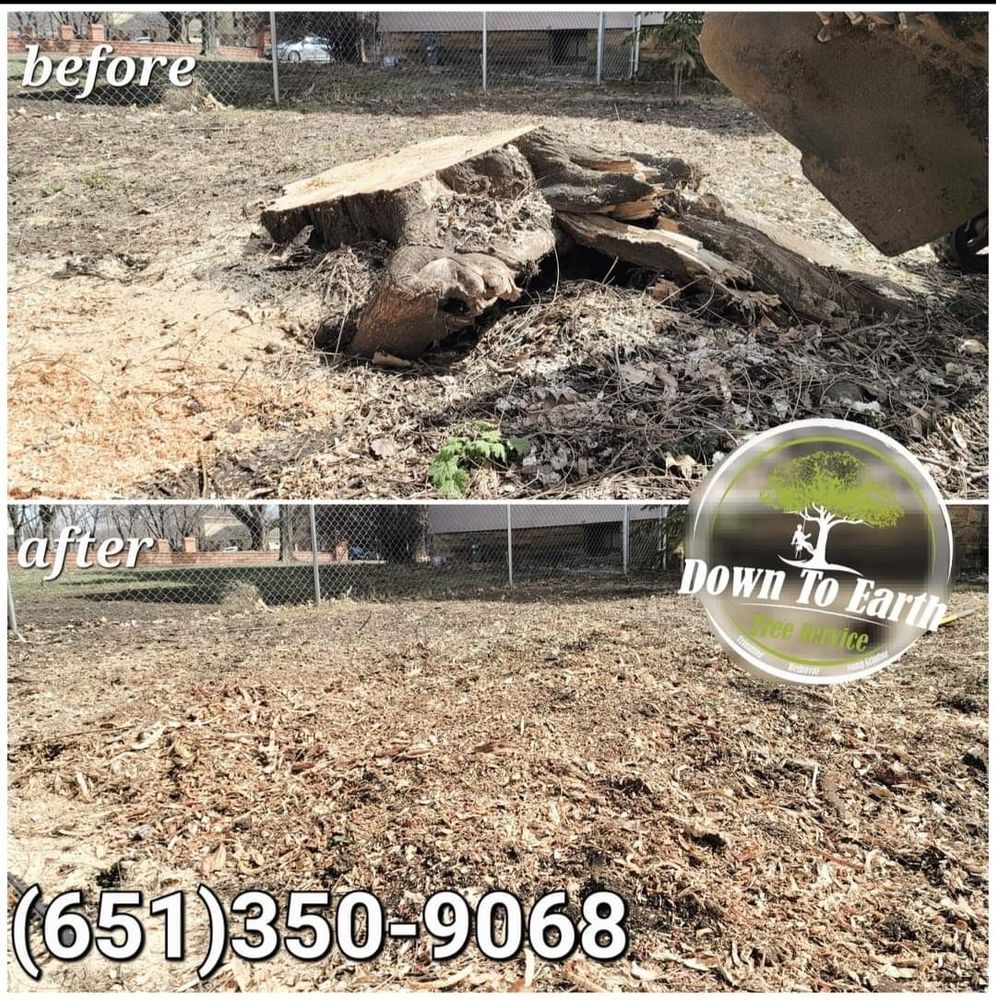 Down To Earth Stump Removal: Before & After