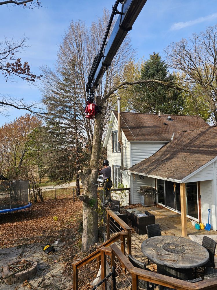 A crane trims a tree next to a house with a deck. A person is working on the tree.