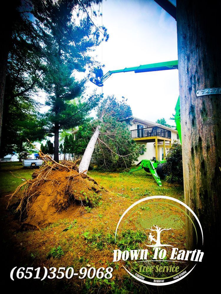 Tree removal by Down To Earth Tree Service. Upside-down tree with exposed roots on a residential lawn, a lift truck, and a house.