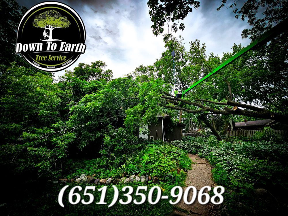 Tree Cutting Service By Torres Tree Service