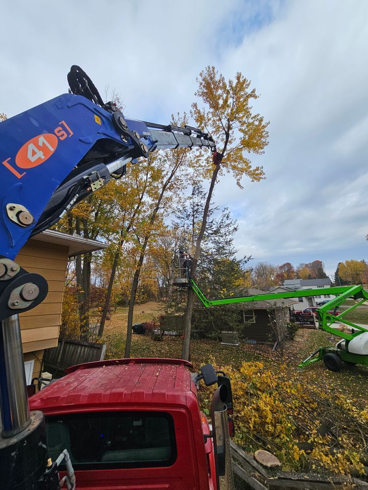 Pruning In Residential Area