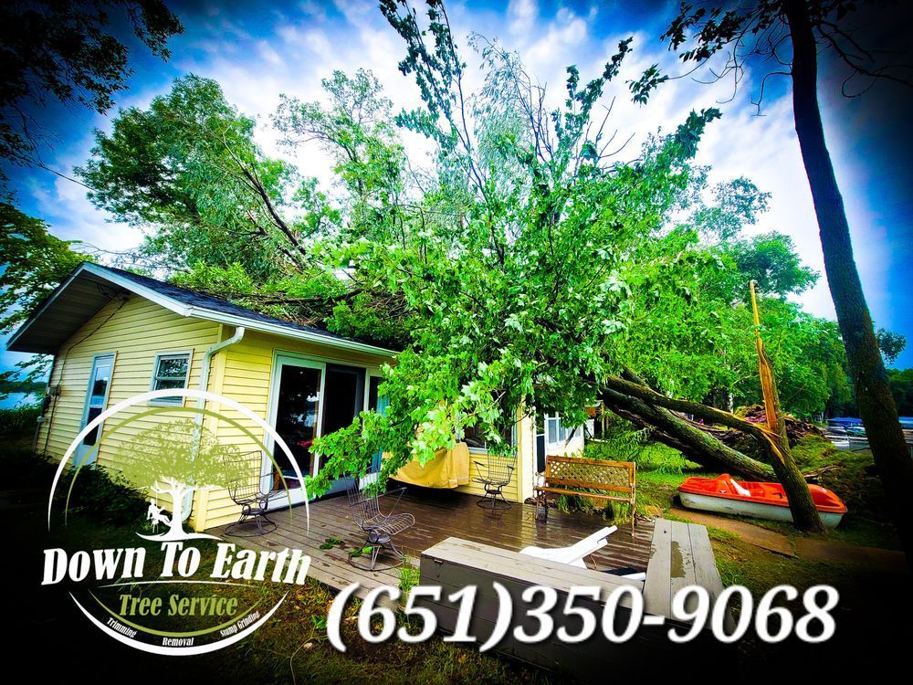 Tree fallen on a yellow house near water.