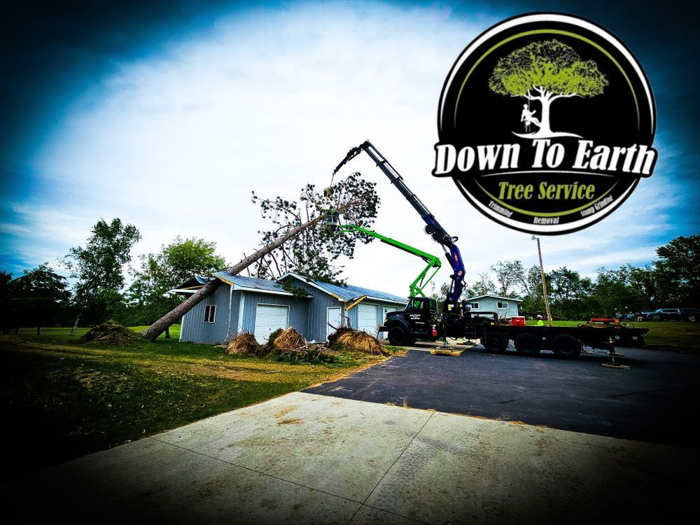 Tree Has Fallen On A Structure