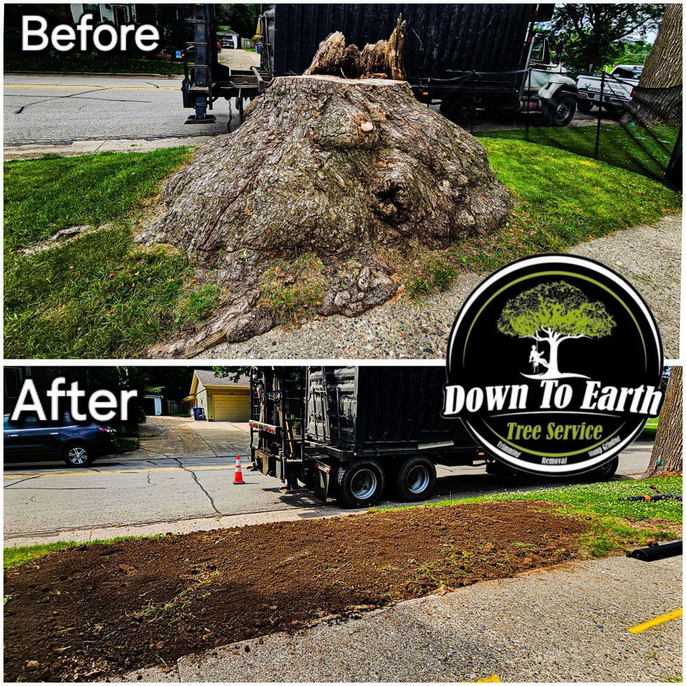 Before and after of tree stump removal on a lawn by Down to Earth Tree Service.