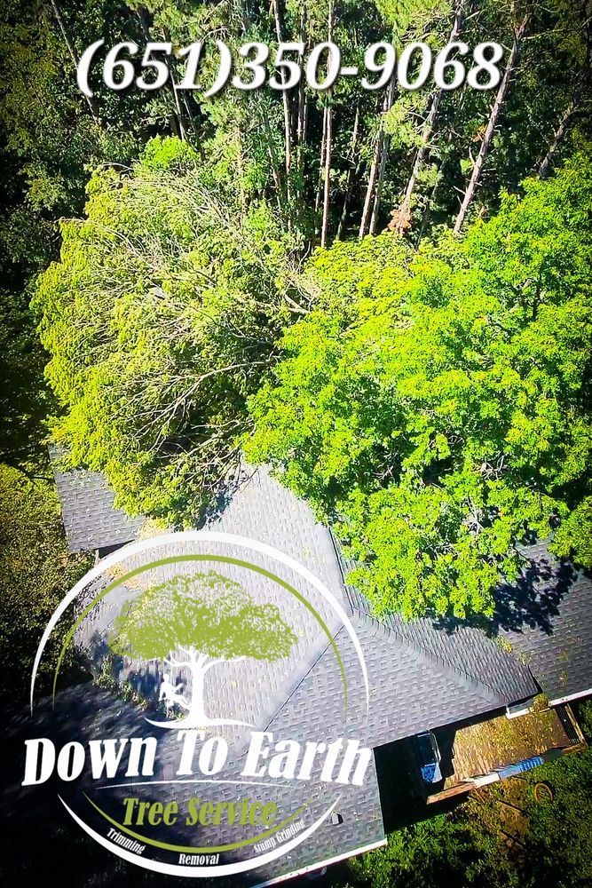 Aerial view of a house roof with trees overhead. Down To Earth Tree Service logo and phone number (651) 350-9068.