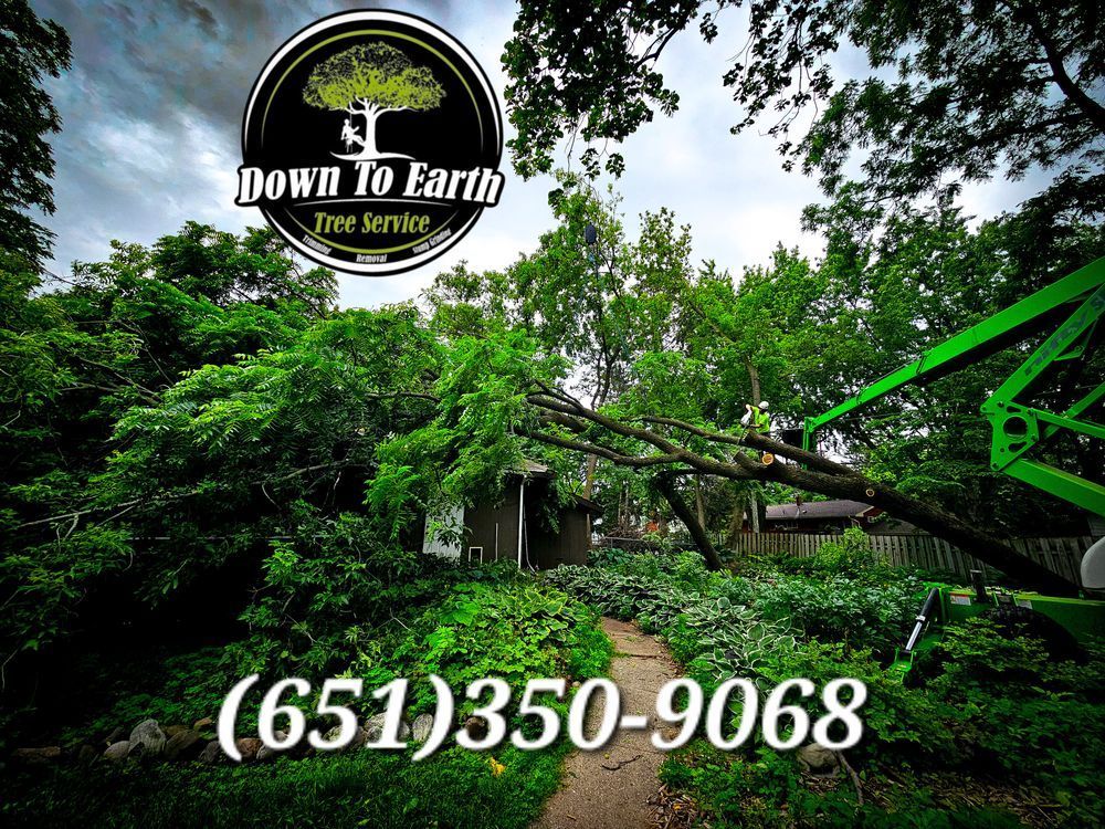 A tree service,