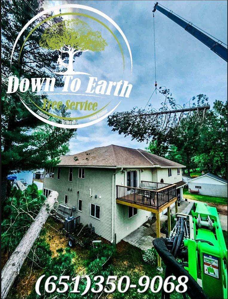Down To Earth Tree Service removing tree branches near a house using a crane. Green, white, and gray colors dominate. Phone number displayed.