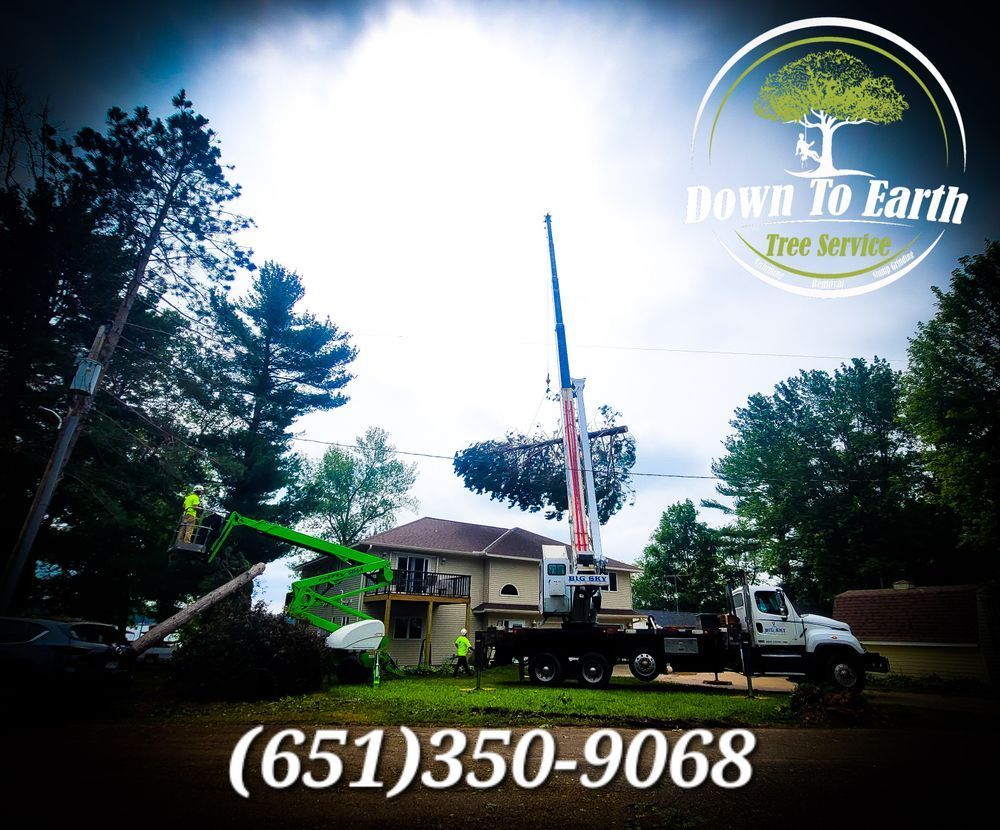 Down To Earth Tree Service removing tree near house with lift and crane, (651)350-9068.