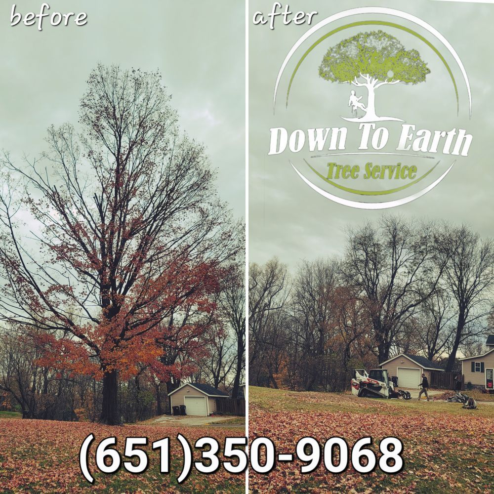Tree Service Job Advertisement