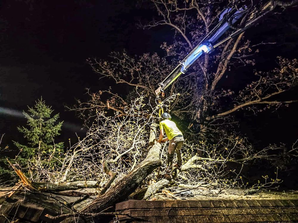 Workers Clearing Fallen Tree At Night